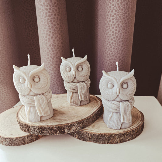 Rankų darbo sojų vaško žvakė "Pelėda"