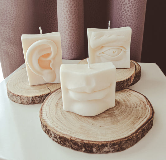 Rankų darbo sojų žvakių rinkinys "Organai"